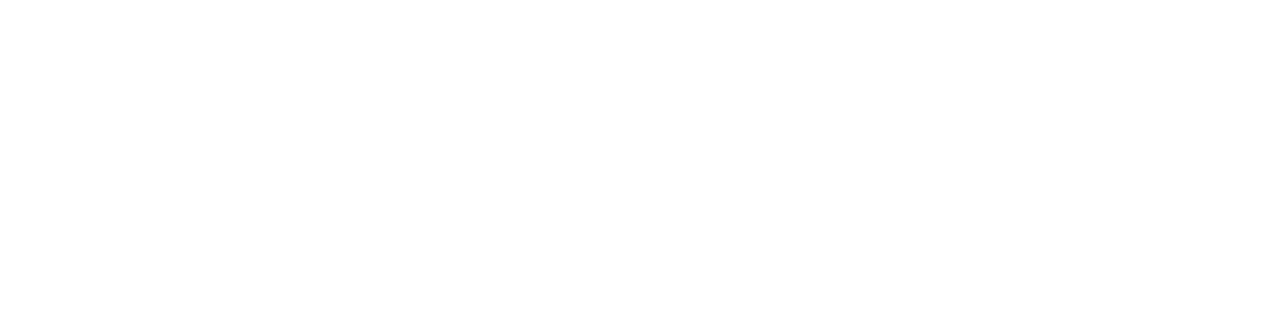 American Petroleum Institute